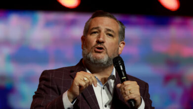 Cruz criticizes mcconnell for abandoning blake masters in arizona senate race