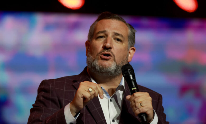 Cruz criticizes mcconnell for abandoning blake masters in arizona senate race