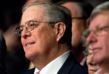 Koch activist philanthropist billionaire artnews