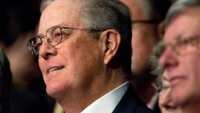 Koch activist philanthropist billionaire artnews