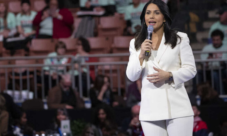 Midterm elections updates tulsi gabbard endorses republican adam laxalt for senate