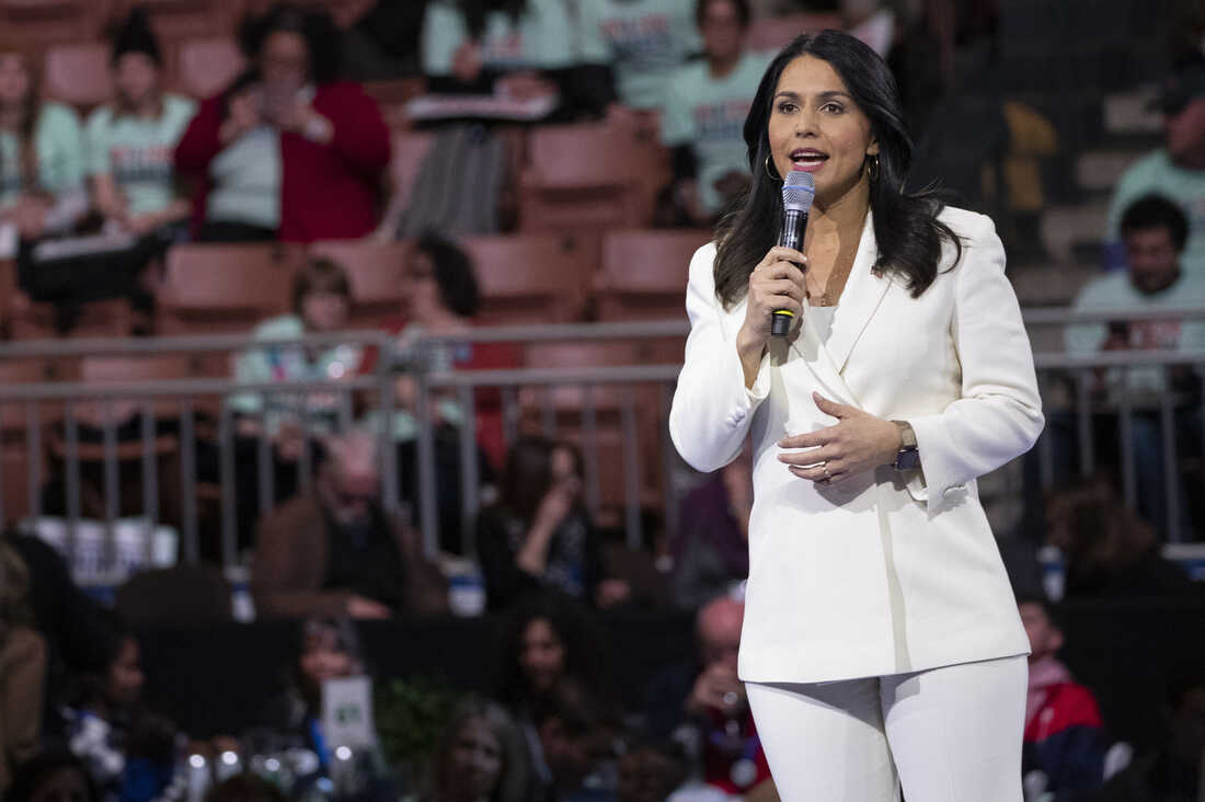 Midterm elections updates tulsi gabbard endorses republican adam laxalt for senate