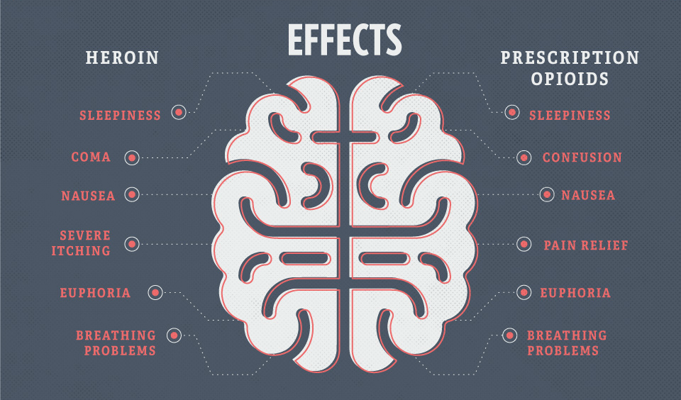 How the most dangerous opioid works on your brain