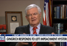 Gingrich new trump special counsel is a left wing hatchet man