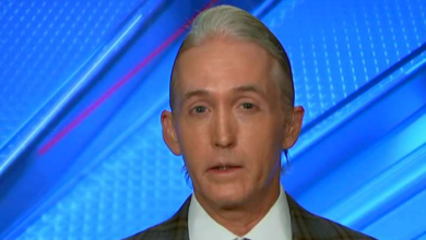 Trey gowdy gets emotional responding to mass shootings right to bear arms doesnt matter if youre dead