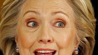 Dem group exposed millions of email addresses in clinton file firm reveals