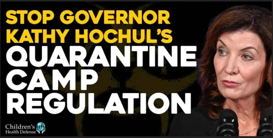 Teach the constitution democrat attorney who halted hochuls quarantine camp regulation