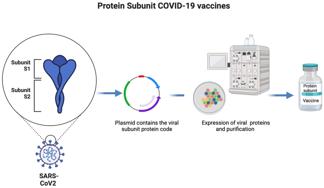 Covid 19 vaccines didnt work so cdc changed the definition of vaccines