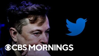 Elon musk finally buys twitter fires top executives