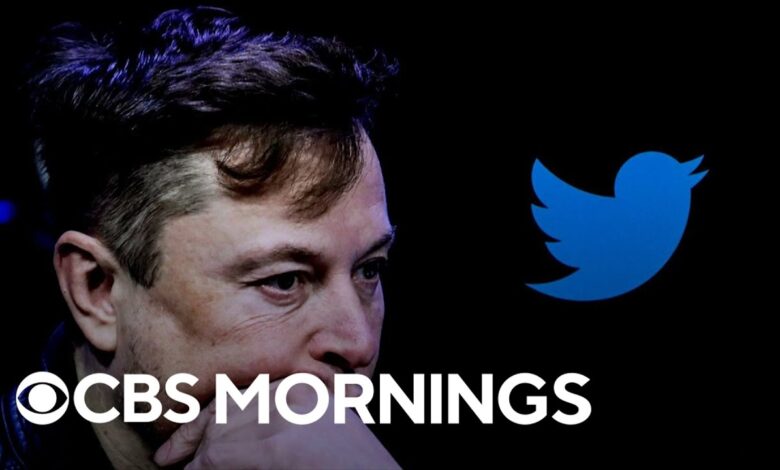 Elon musk finally buys twitter fires top executives
