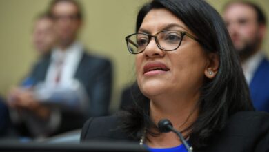 Tlaib hits back at bill maher for comments on bds compares israel to apartheid south africa