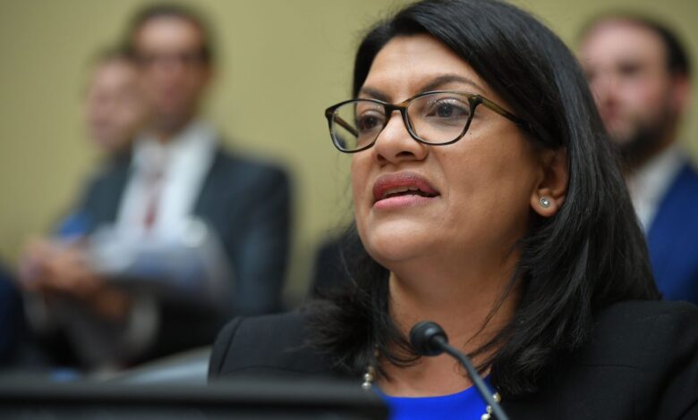 Tlaib hits back at bill maher for comments on bds compares israel to apartheid south africa