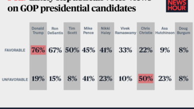 Gop voters virtually impossible to poll after bidens maga republicans speech top pollster