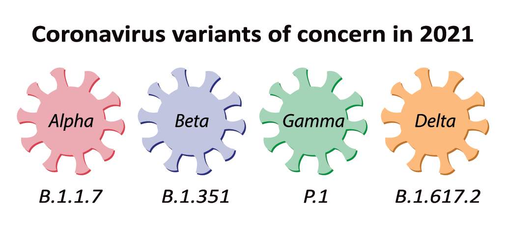 New HKU5 coronavirus strain human infection