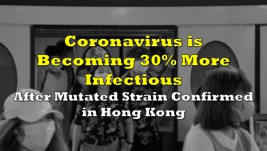 New HKU5 coronavirus strain human infection