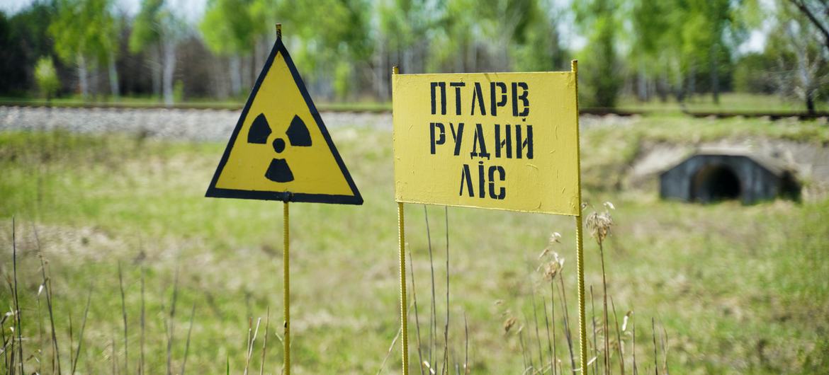 Chernobyl radiation genetic