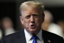 Democrats are trying to steal our election again
