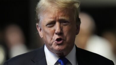 Democrats are trying to steal our election again