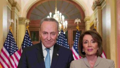 Gaslighted its clear democrats just stole another election