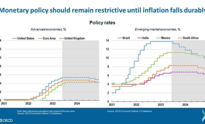 Oecd warns of significant economic slowdown persistently high inflation