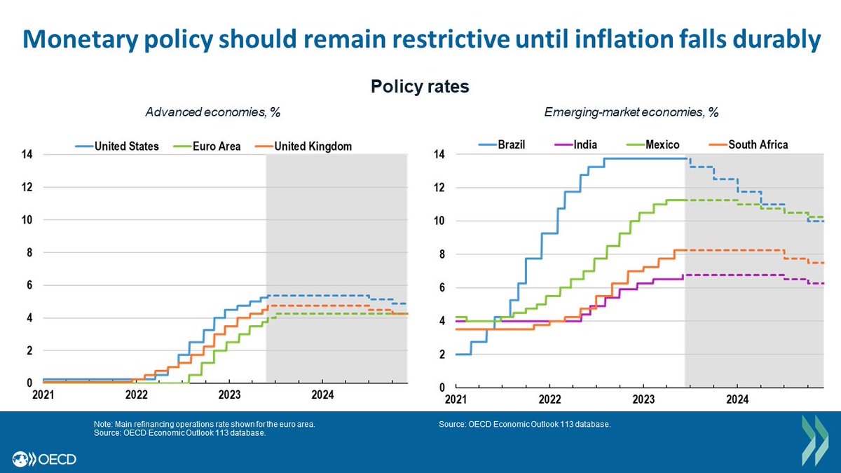 Oecd warns of significant economic slowdown persistently high inflation