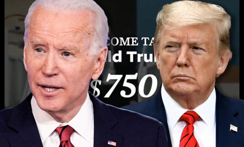 Biden administration gives trump tax returns to house democrats