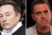 Musk reveals details of behind the scenes twitter operation to censor hunter biden laptop story