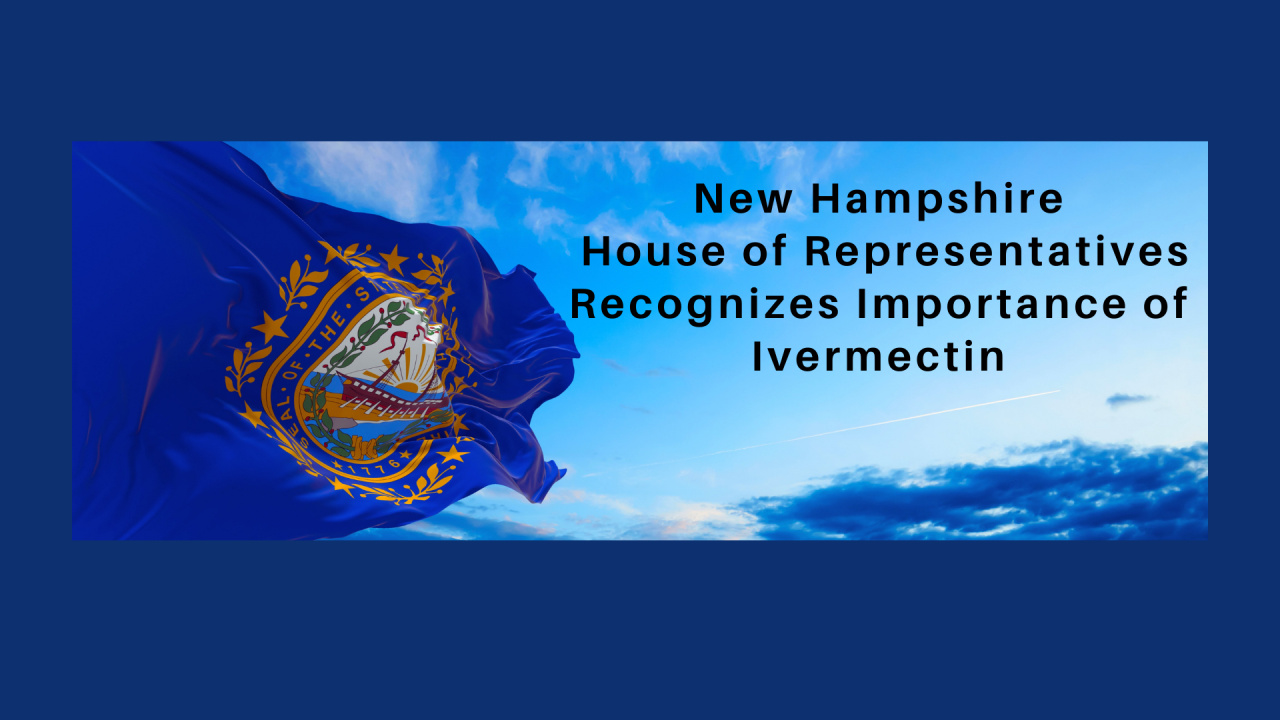 Nh house of representatives