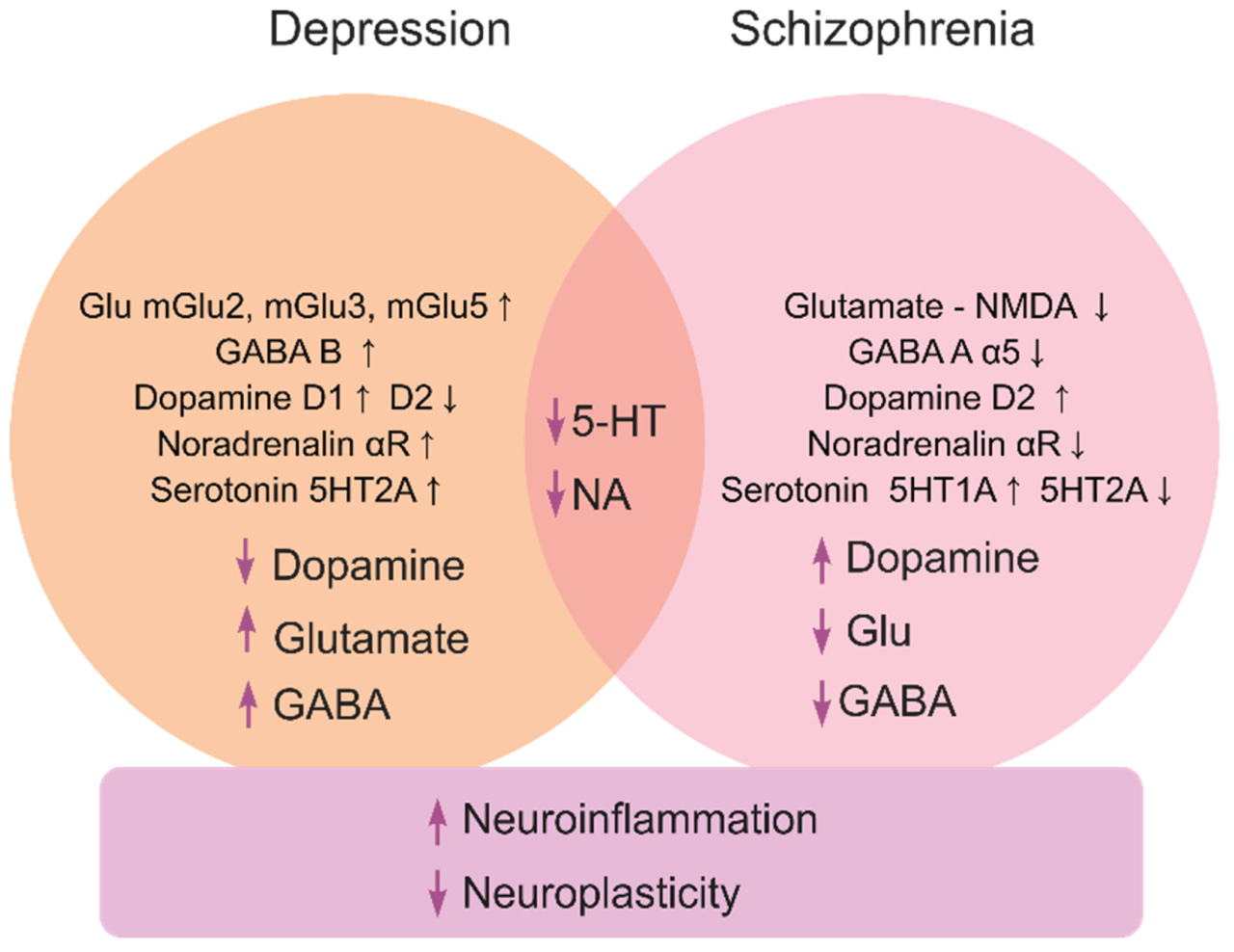 Prescription for violence the corresponding rise of antidepressants ssris mass shootings