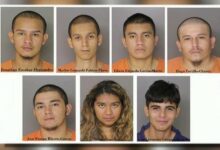 6 ms 13 gang members illegal immigrants involved in deadly maryland stabbing ice says