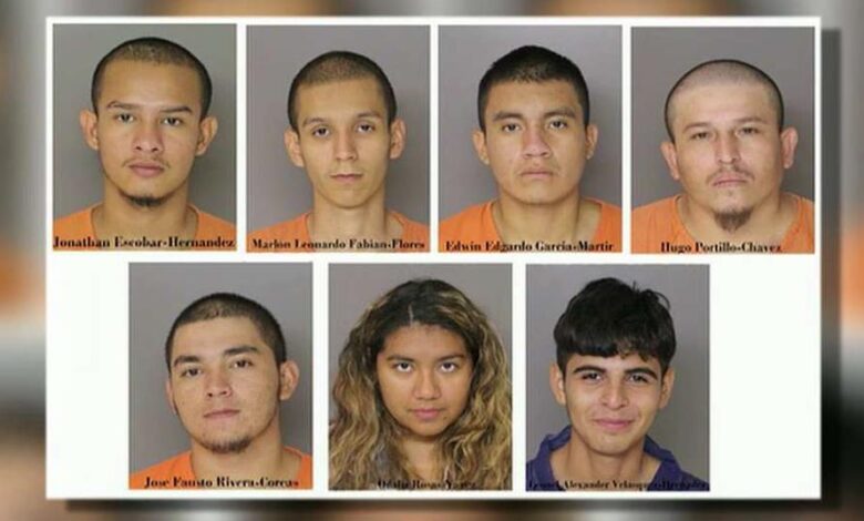 6 ms 13 gang members illegal immigrants involved in deadly maryland stabbing ice says