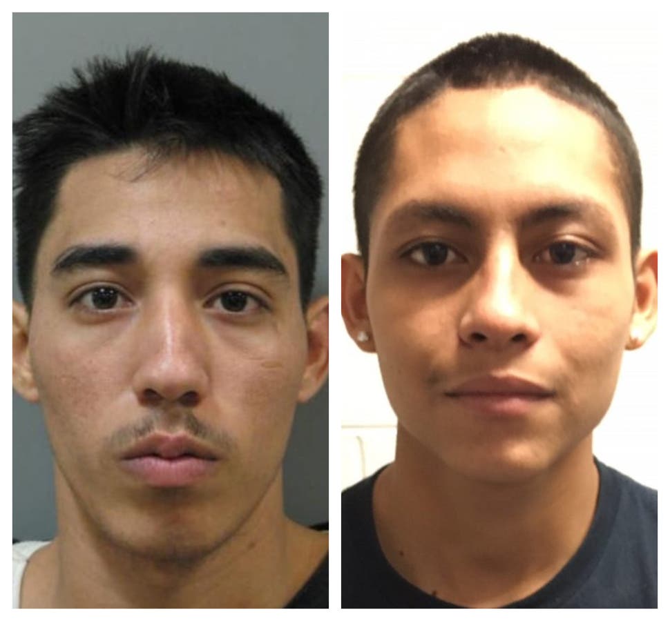 Gang illegal maryland immigrants ms stabbing foxnews involved officials charged