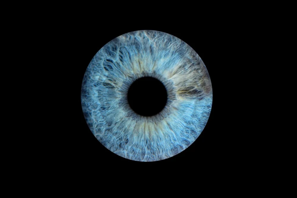 MSD-backed Ray locks in 5m to back eye drug pipeline – Pharmaceutical Technology