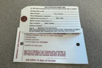 The Flesh-Eating Bacteria: Climate Change’s Silent Tide