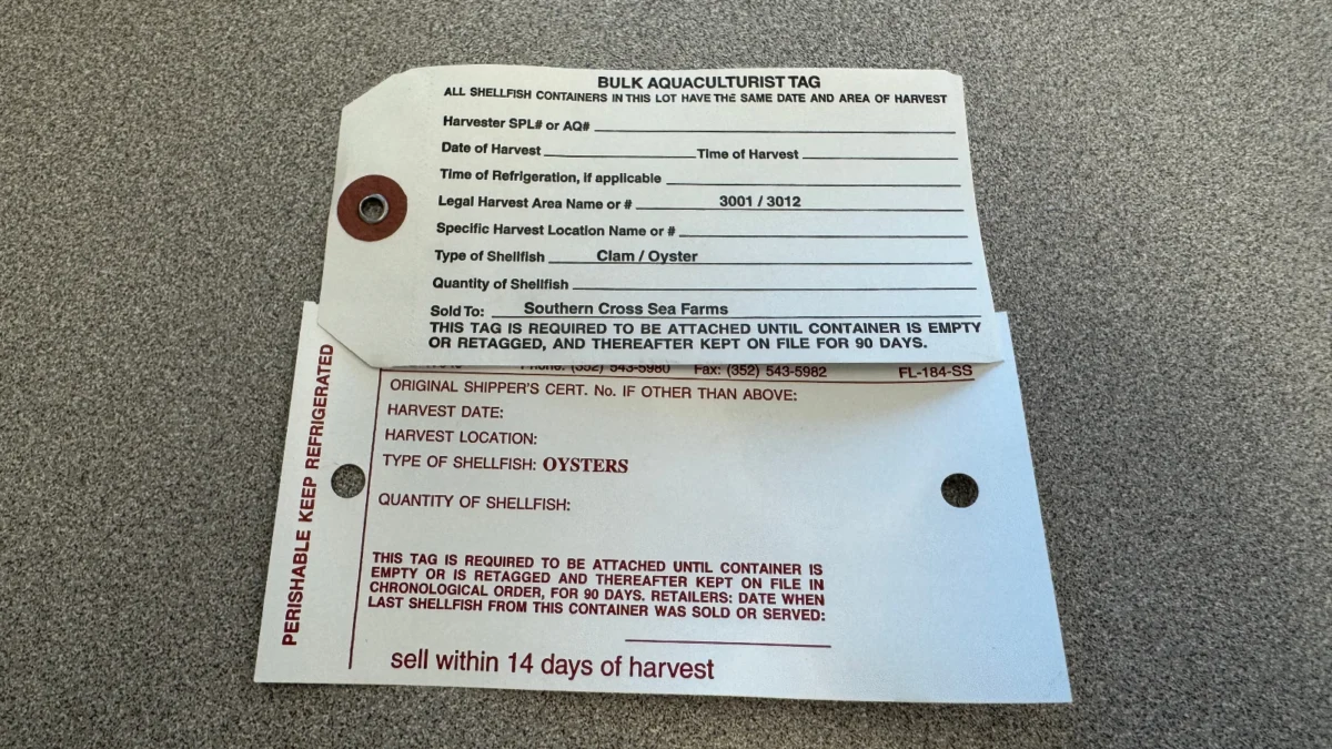 The Flesh-Eating Bacteria: Climate Change’s Silent Tide