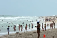 The Growing Threat of Vibrio Bacteria in Warm Coastal Waters: Understanding Risks and Safeguarding Public Health