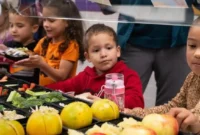 The Health, Environmental, and Cost Implications of Providing Healthy and Sustainable School Meals for Every Child by 2030: A Global Modelling Study