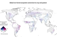 The Overlooked Crisis: Nonforest Ecosystems Vanishing at Alarming Rate, Undermining Global Environmental Policies