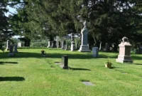 The Unlikely Havens: Cemeteries Emerge as Vital Sanctuaries for Urban Biodiversity