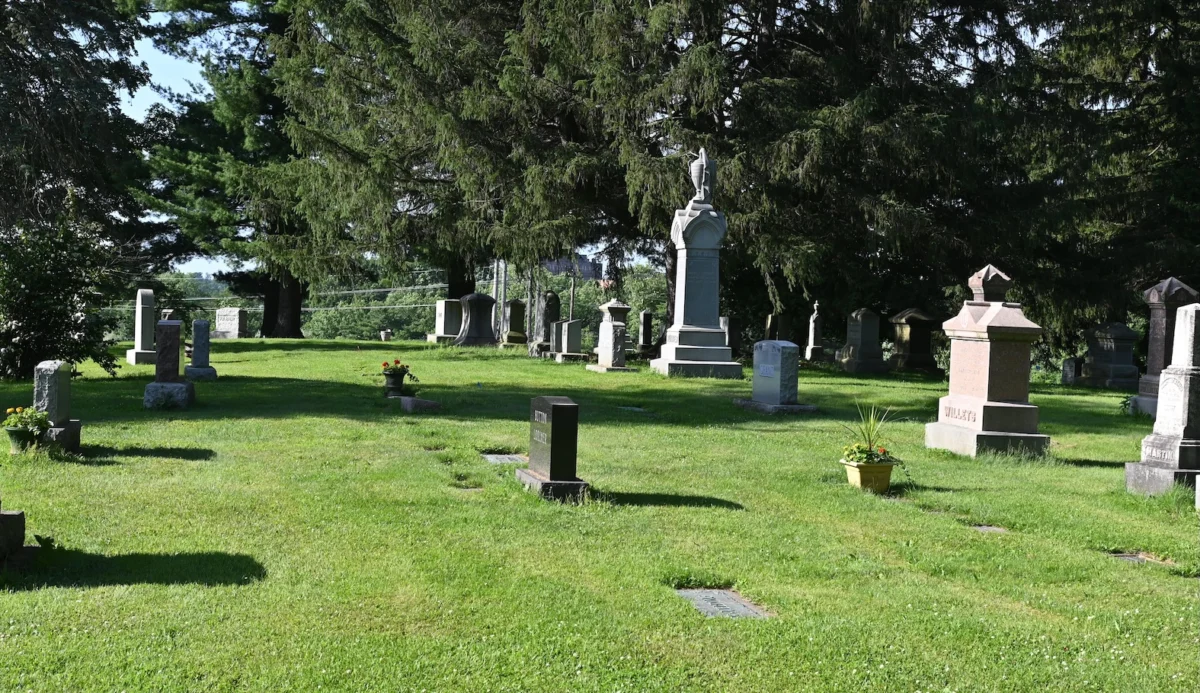 The Unlikely Havens: Cemeteries Emerge as Vital Sanctuaries for Urban Biodiversity